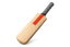 Bet Image
